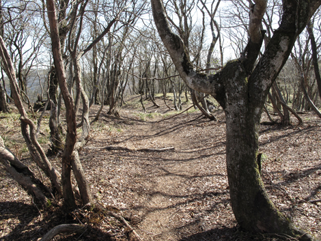 20140502hike (314)